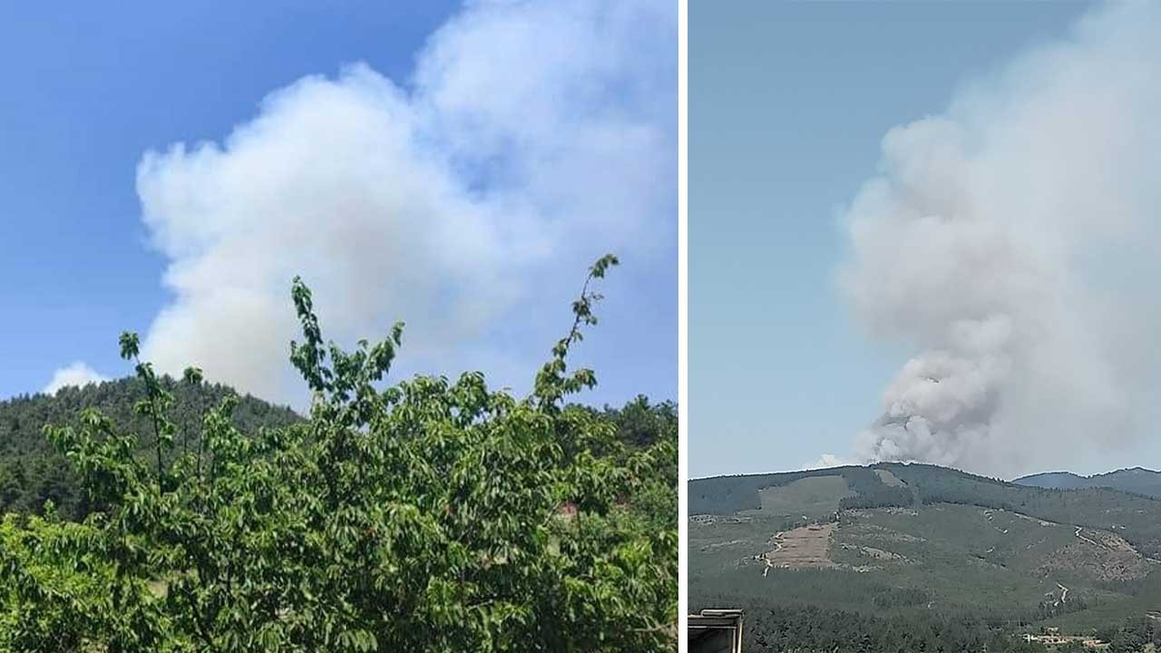 Bursa’da orman yangını: Karadan ve havadan müdahale ediliyor