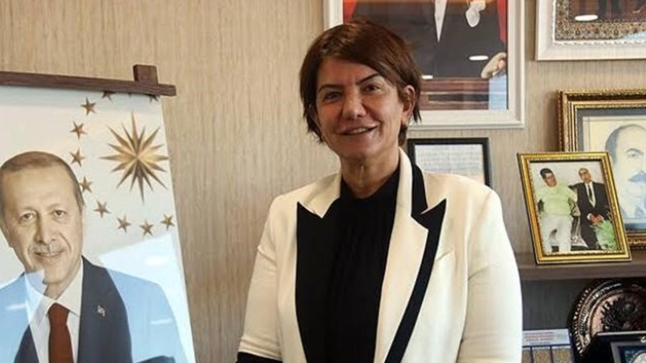 AK Parti Diyarbakır Milletvekili Ataman: Hepimiz kayyımdan rahatsızız