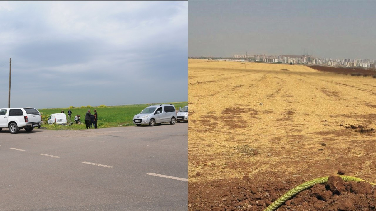 Arazi anlaşmazlığında 4'üncü ölümde ağabey yakalandı