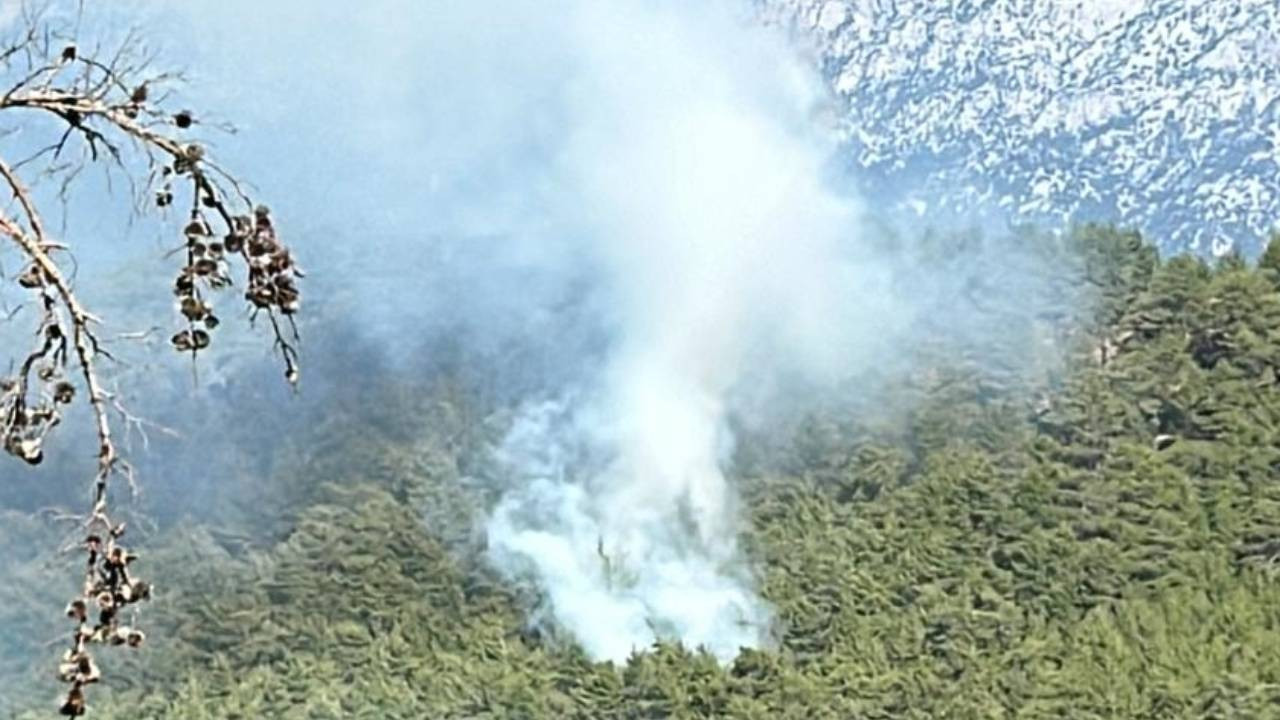 Köprülü Kanyon'da orman yangını kontrol altına alınmaya çalışılıyor