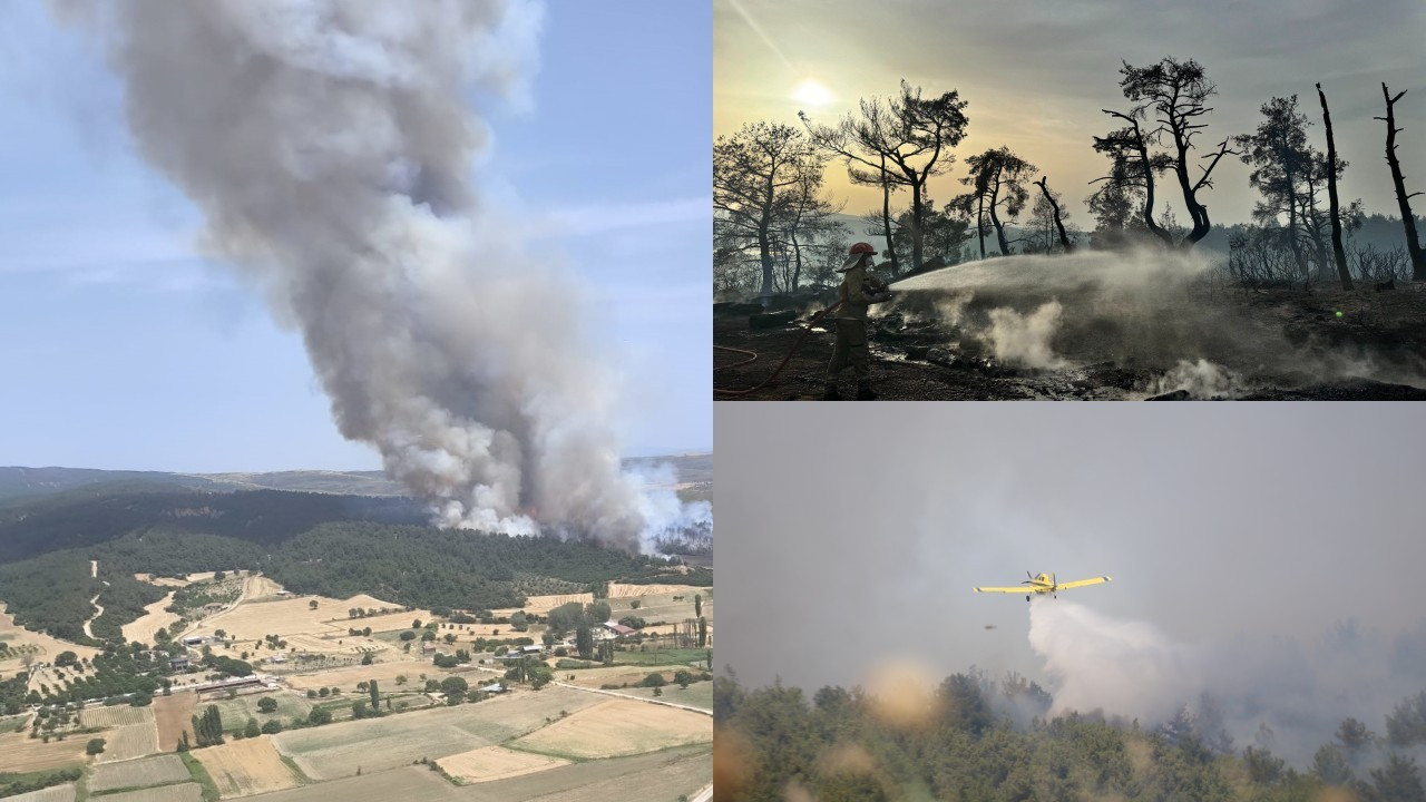 Çanakkale'deki orman yangını 8 saatte kontrol altına alındı