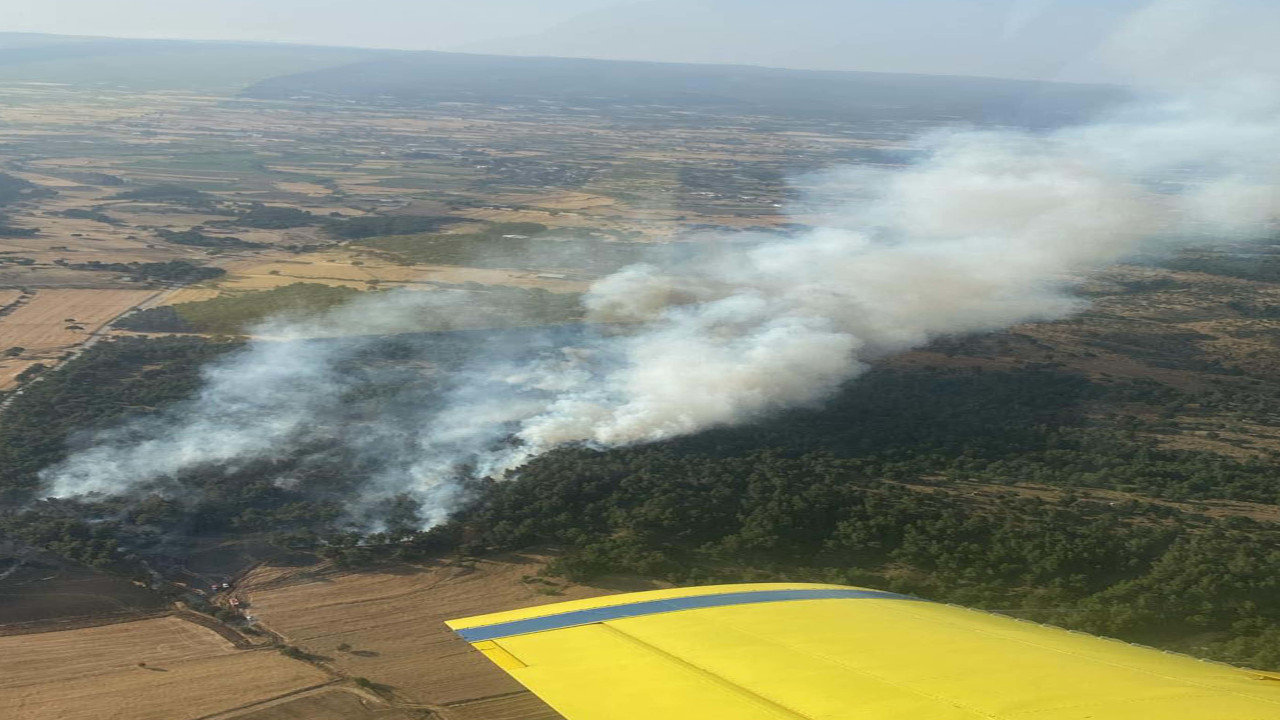 Çanakkale'de orman yangını: 5 hektar zarar gördü