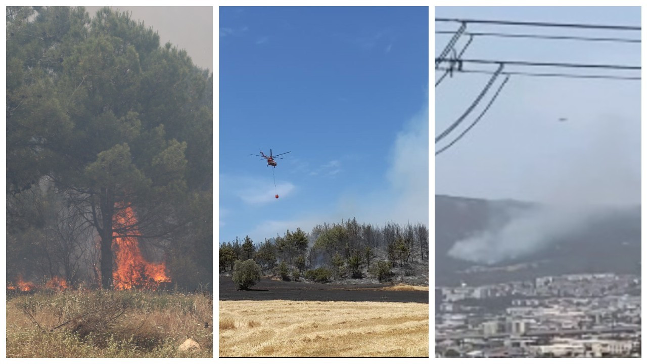 İzmir, Çanakkale ve Manisa'da orman yangınları
