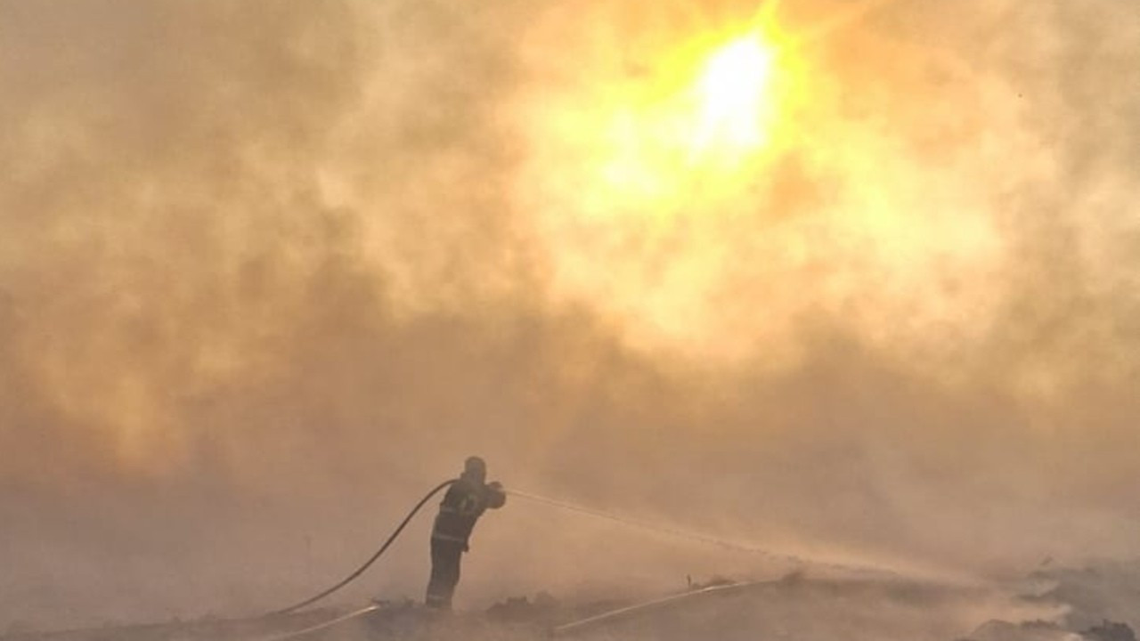 Mardin'de üç mahallede 10 bin dönüm ekili buğday yandı