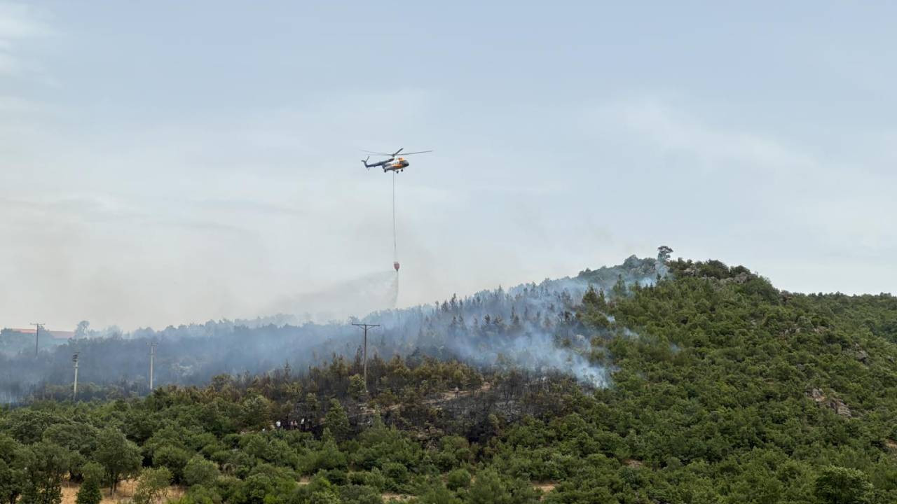Balıkesir'de çıkan orman yangınına müdahale ediliyor