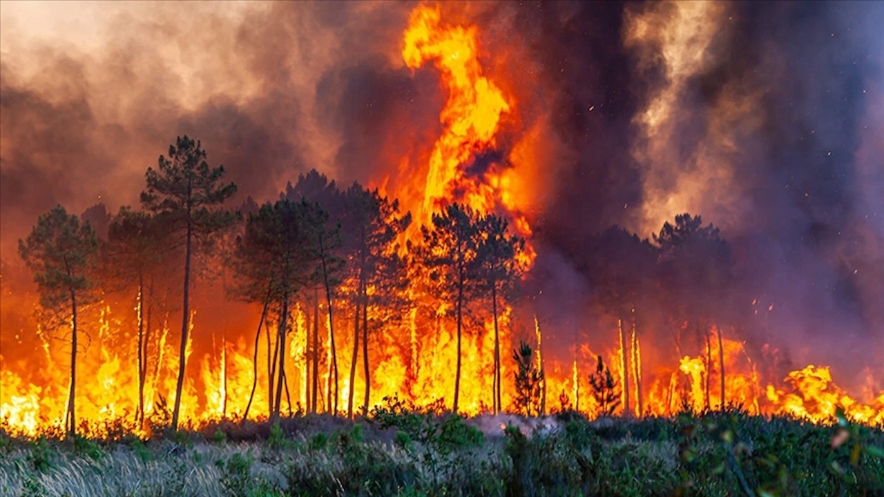 Orman yangınlarıyla nasıl mücadele edilir?