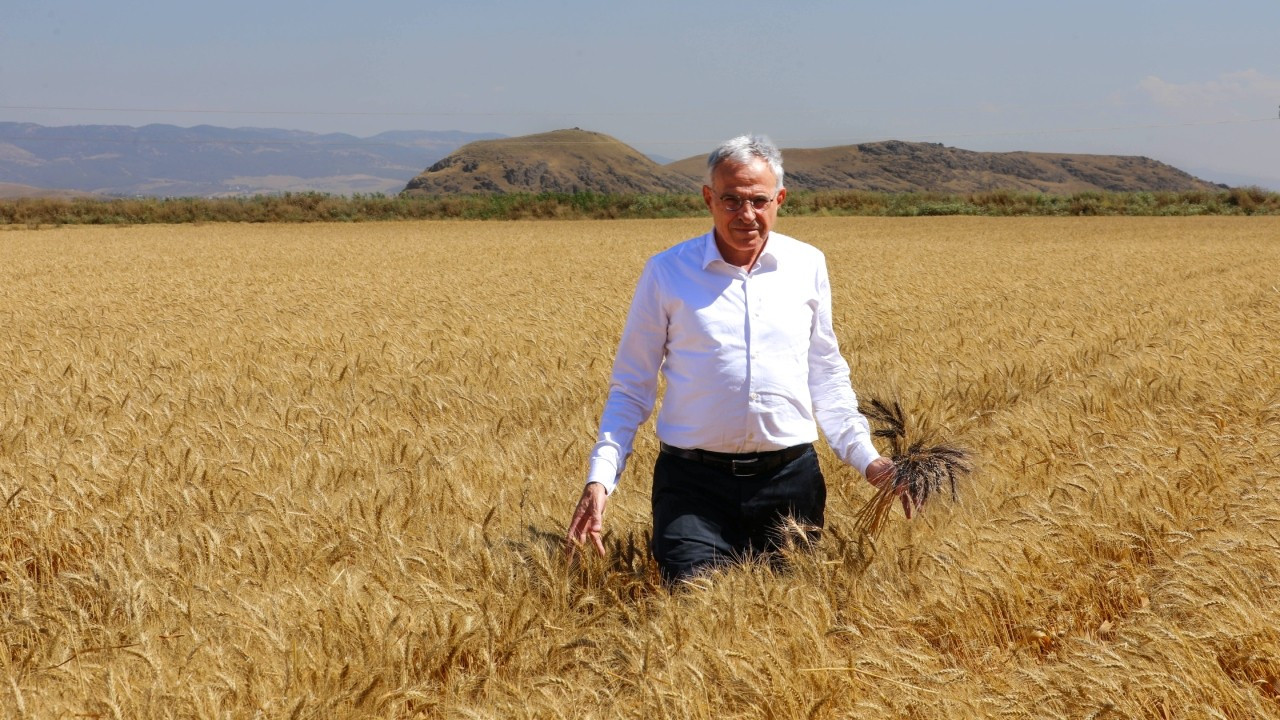 Üniversite ekiyor, hasat öğrencilere burs oluyor