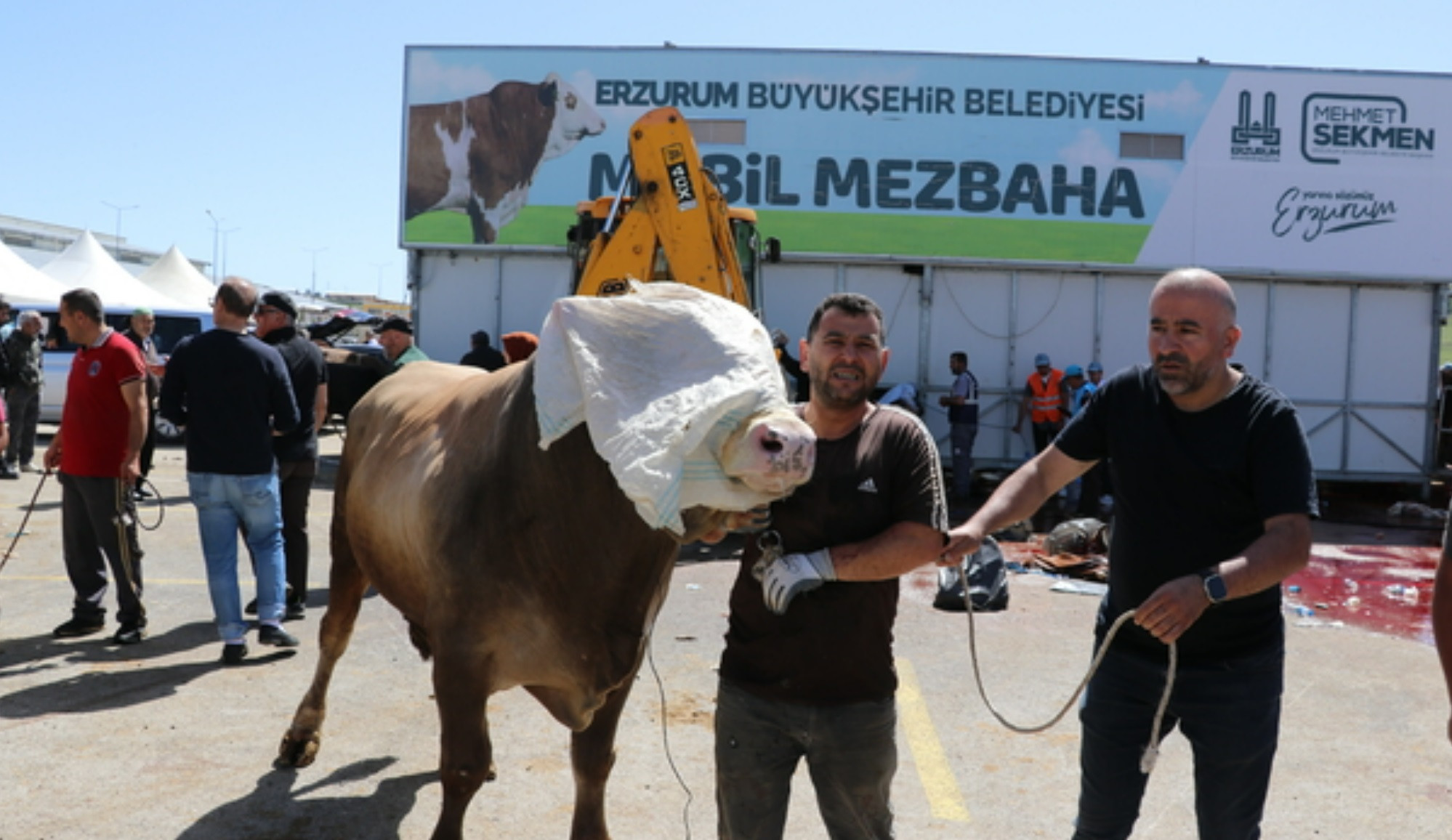 Erzurum'daki mobil mezbahalarda yoğunluk yaşandı