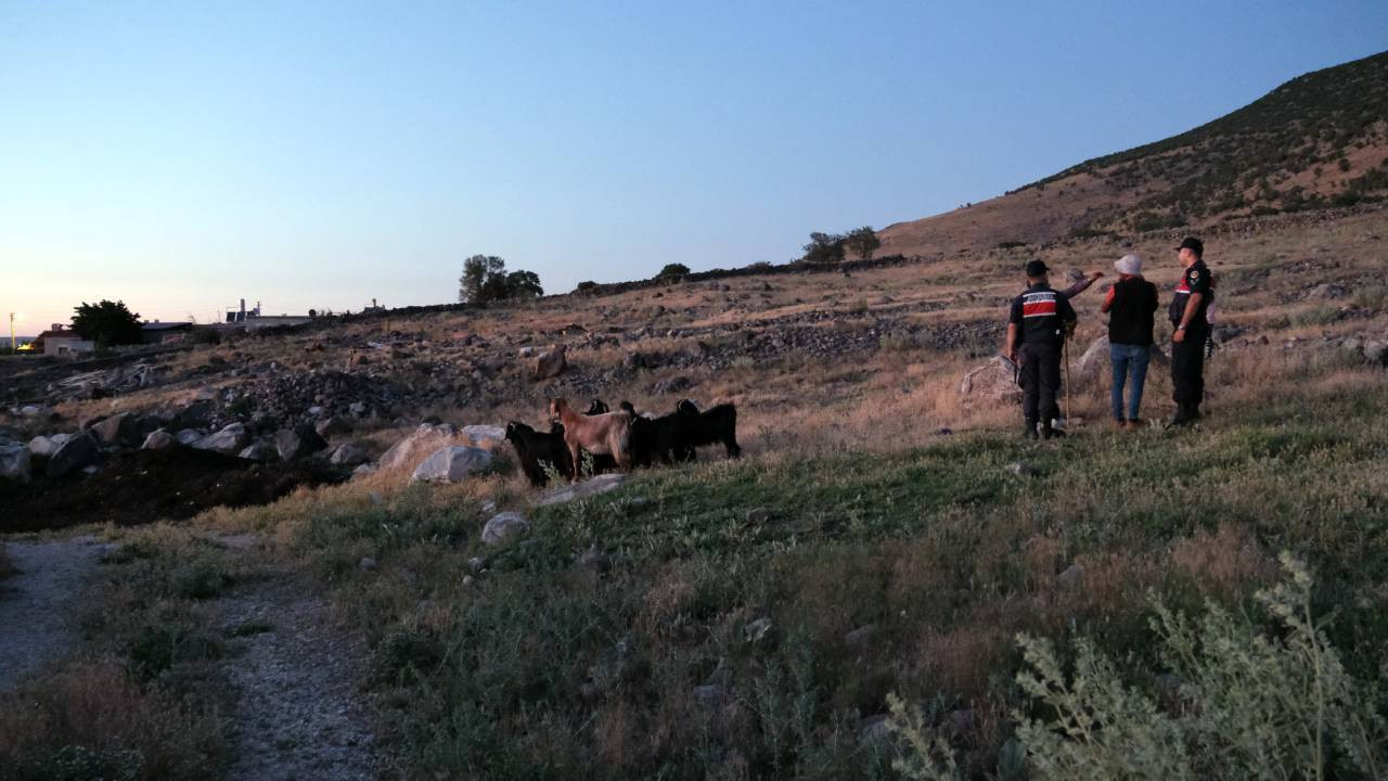 Konya'da kayıp keçiler drone desteğiyle bulundu
