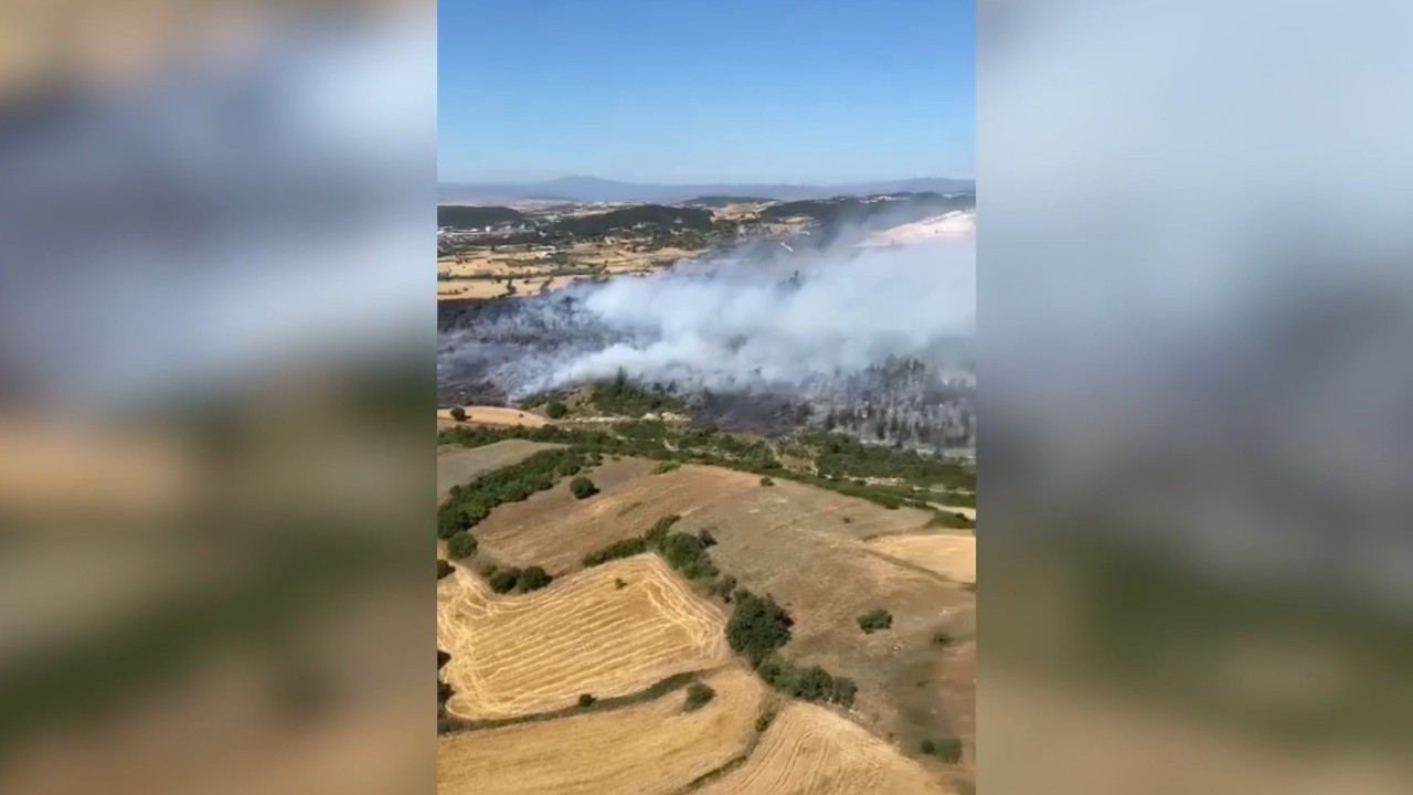 Anız yangını ormana sıçradı: 6 saatte kontrol altına alındı