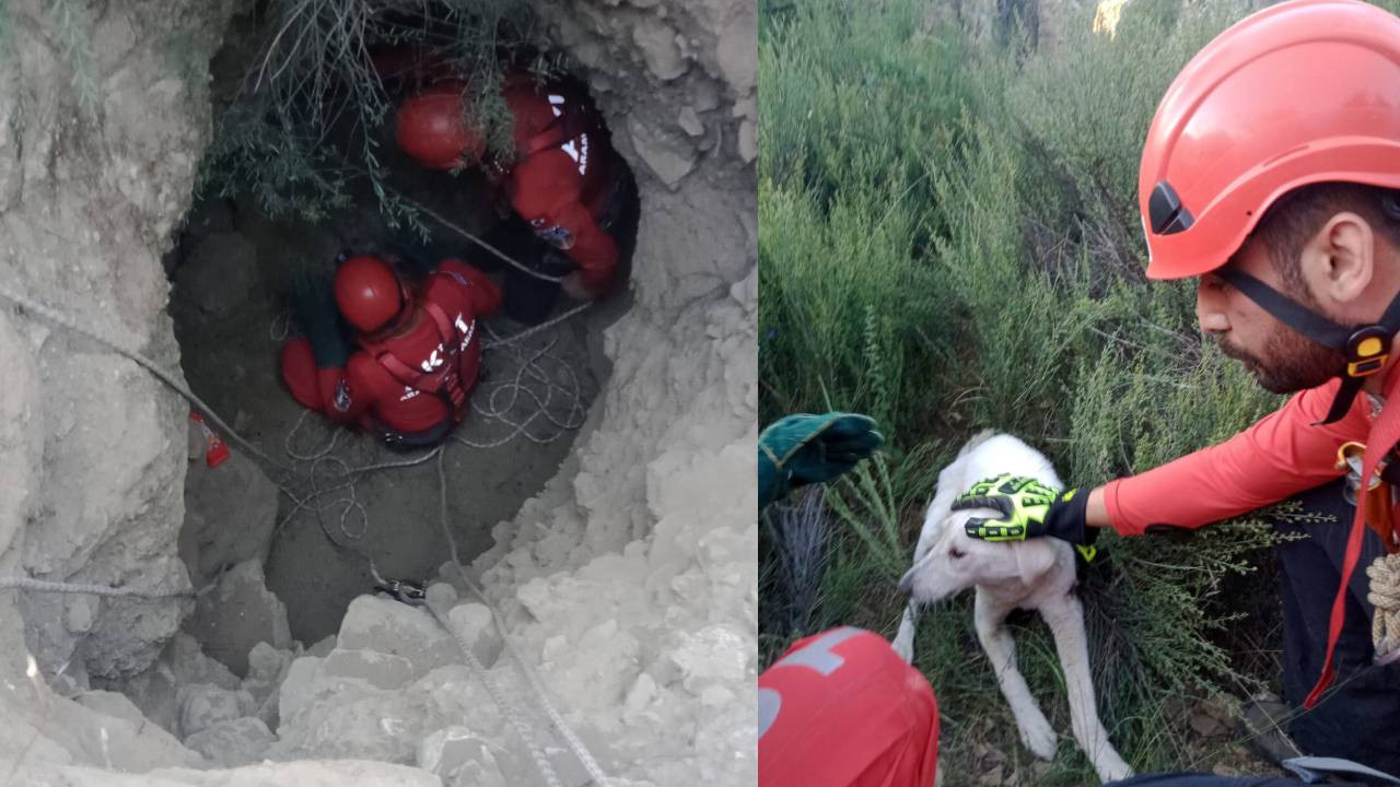Eskişehir'de 5 metrelik kuyuya düşen köpek kurtarıldı