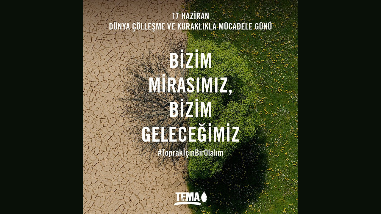 TEMA: Türkiye’de 2012-2023 arası 410 bin hektar orman kaybedildi