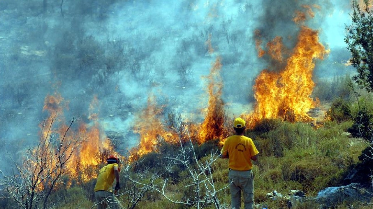 Yapay zekayla oluşturulan risk haritaları orman yangınlarına erken müdahale sağlayacak