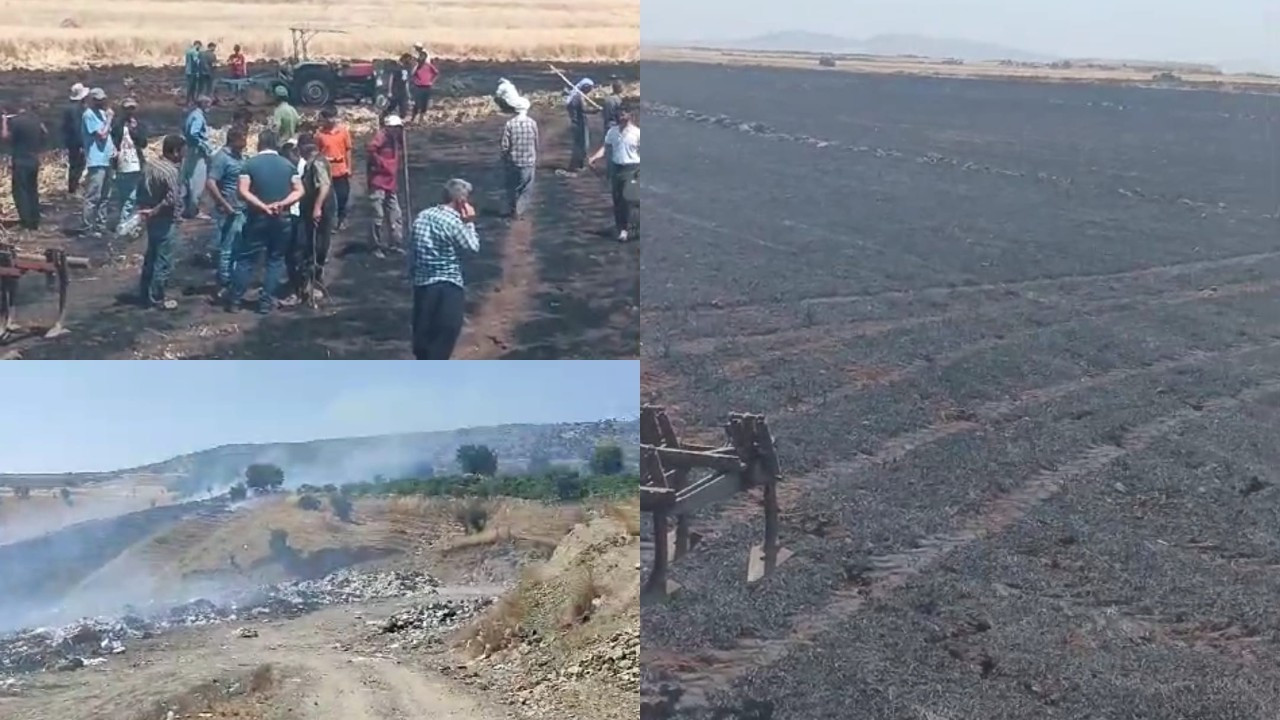 Diyarbakır'ın 2 ilçesinde 200 dönüm ekili alan yandı