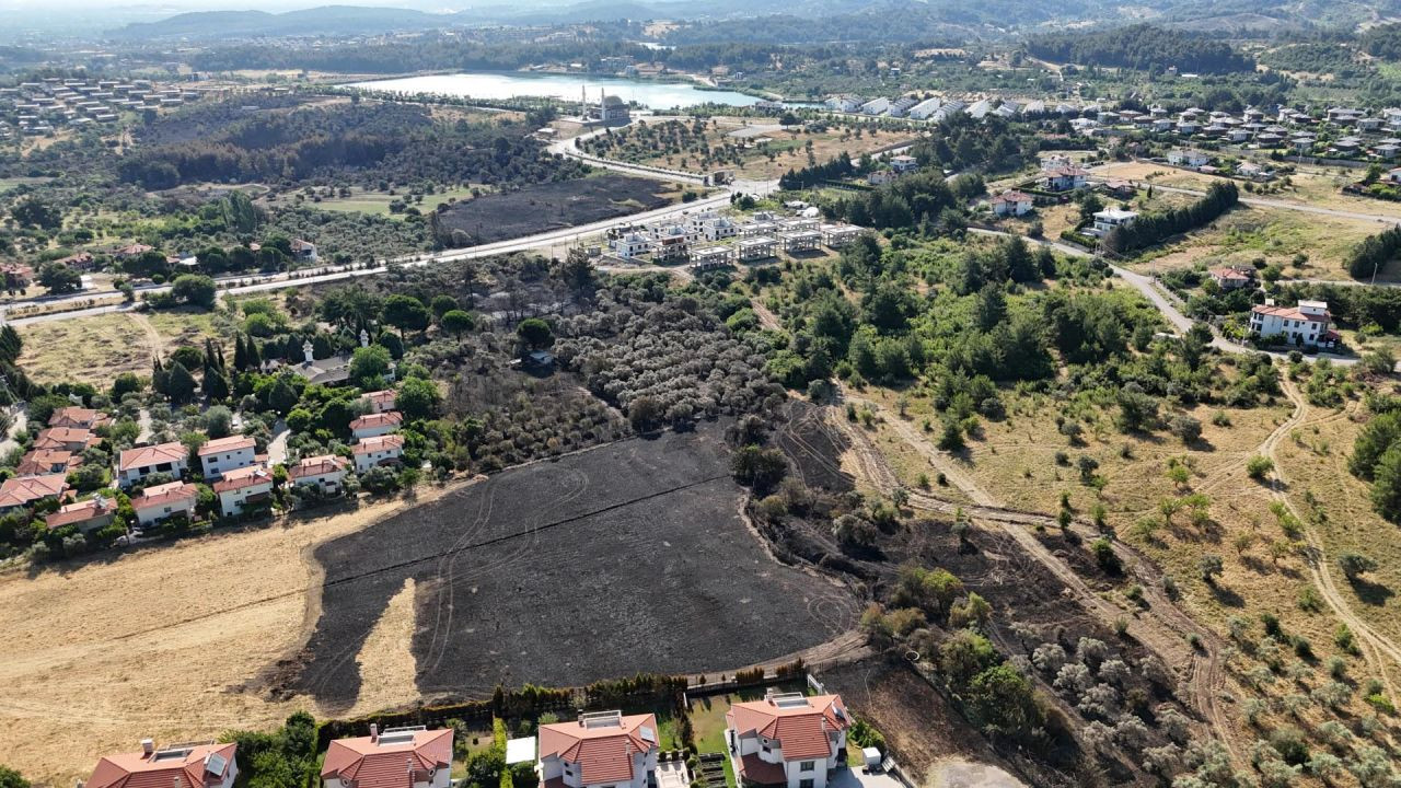 İzmir'deki yangın 4 saatte kontrol altına alındı: 15 hektar zeytinlik zarar gördü - Sayfa 1