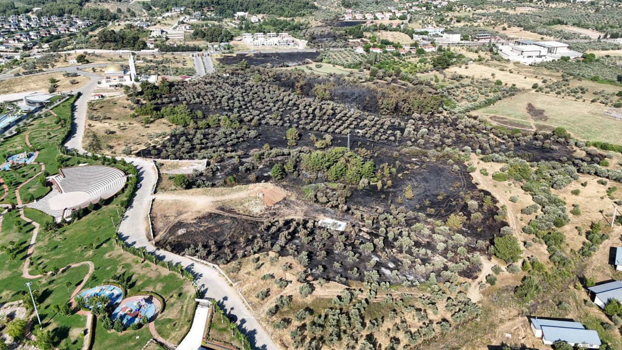 İzmir'deki yangın 4 saatte kontrol altına alındı: 15 hektar zeytinlik zarar gördü - Sayfa 4