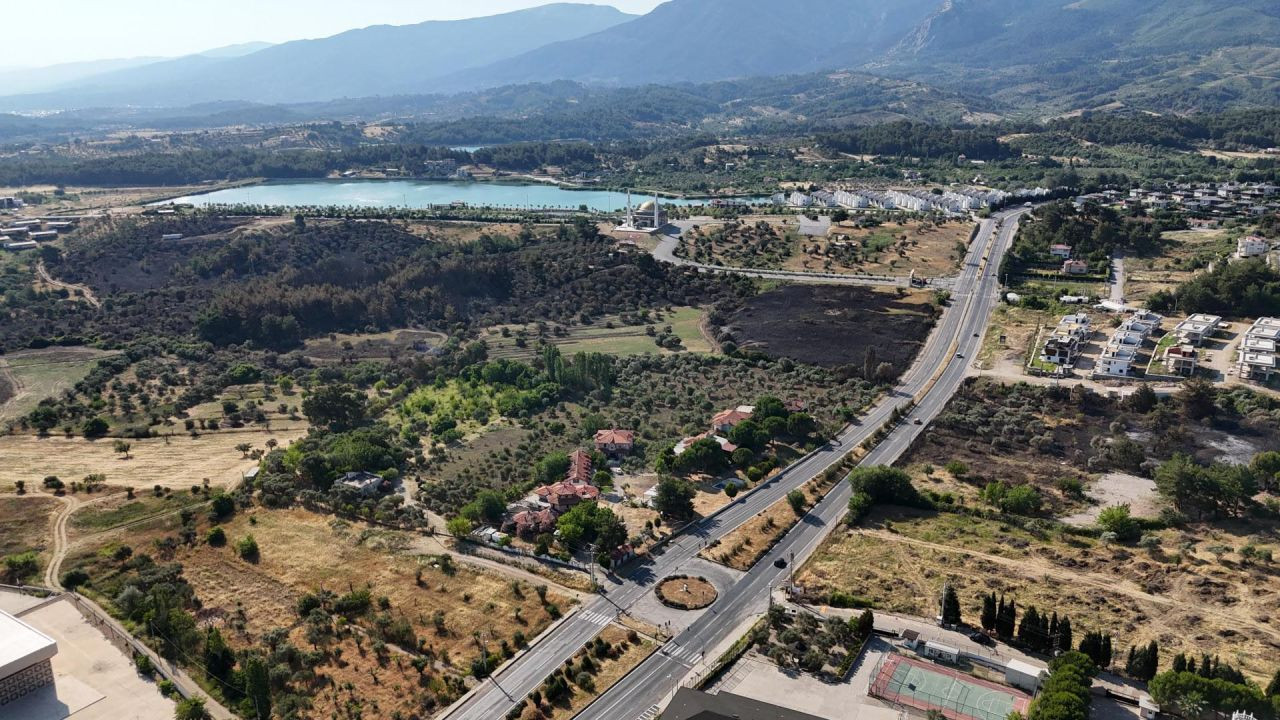 İzmir'deki yangın 4 saatte kontrol altına alındı: 15 hektar zeytinlik zarar gördü - Sayfa 2