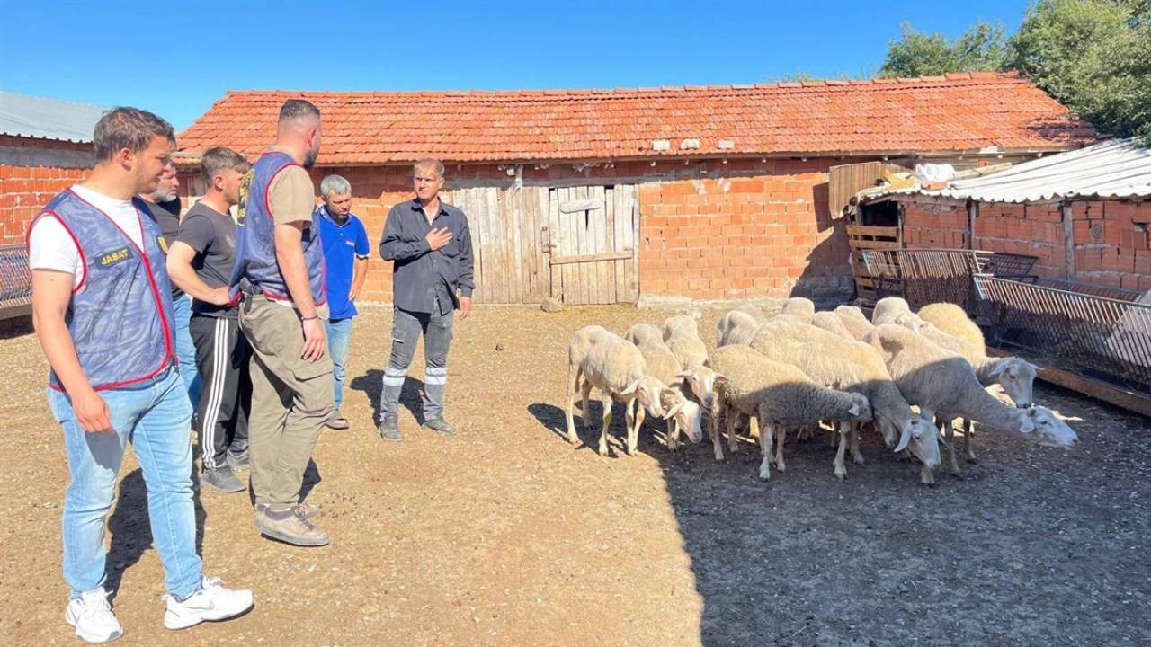 Balıkesir'de ağıldan 16 koyun hırsızlığının 2 şüphelisi yakalandı