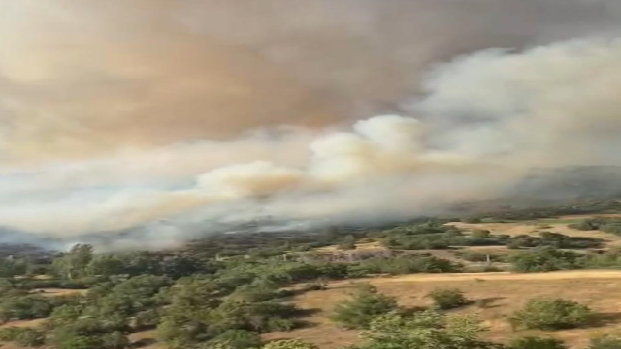 Bursa'da yangın nedeniyle 250 hektar zarar gördü