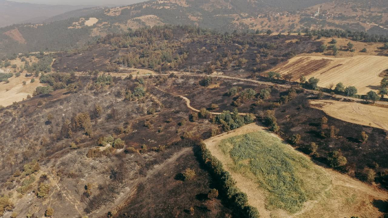 Bursa-Balıkesir sınırında orman yangını: Hasar drone ile görüntülendi