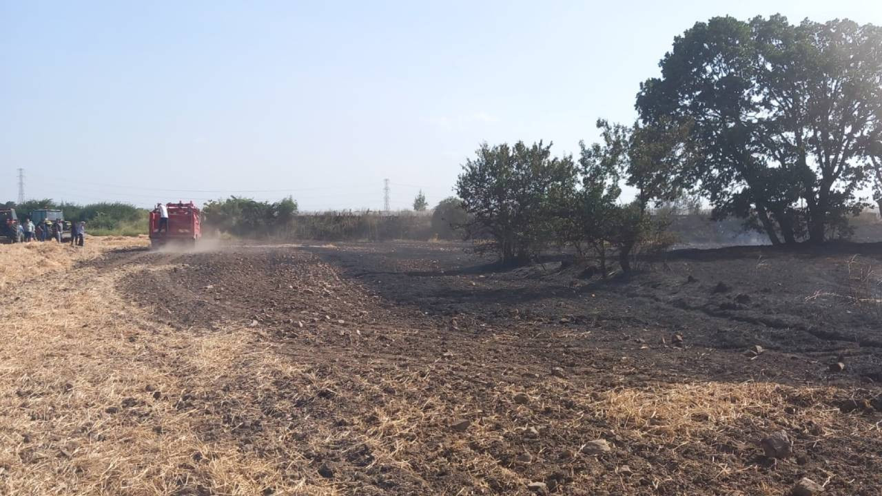 Lalapaşa'da anız yangını büyüdü: Tarım arazisi ve ağaçlar zarar gördü