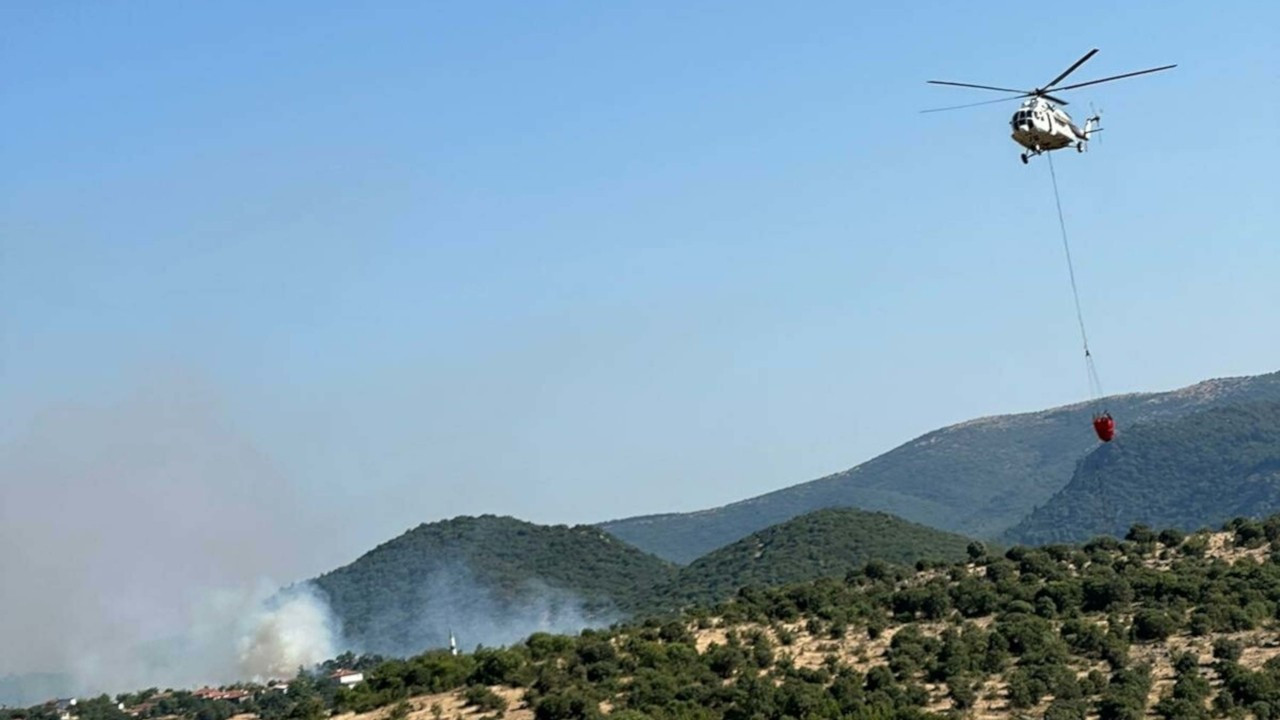 Balıkesir'de orman yangını