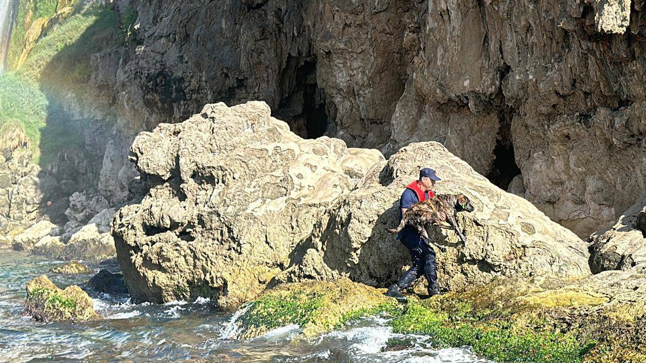 Düden Şelalesi'nin döküldüğü yere düşen köpeği sahil güvenlik kurtardı