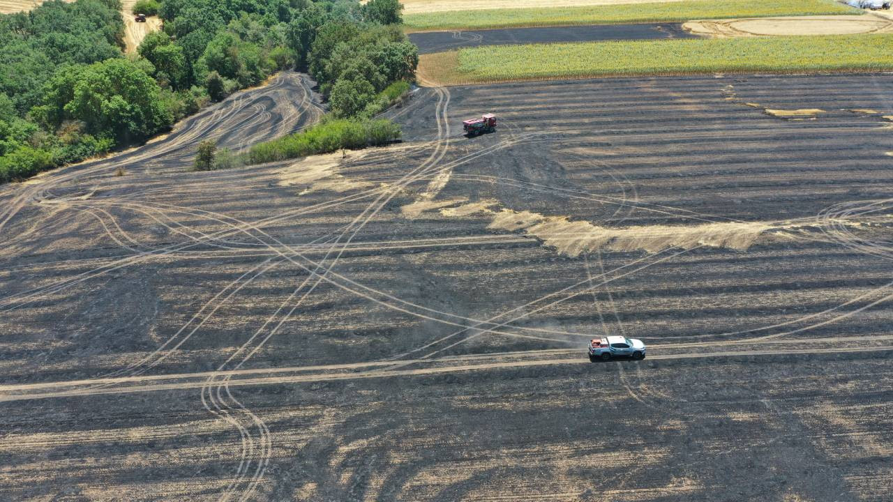 Trakya'da tarım toprakları yok oluyor: 1 ayda 3 bin dekar yandı