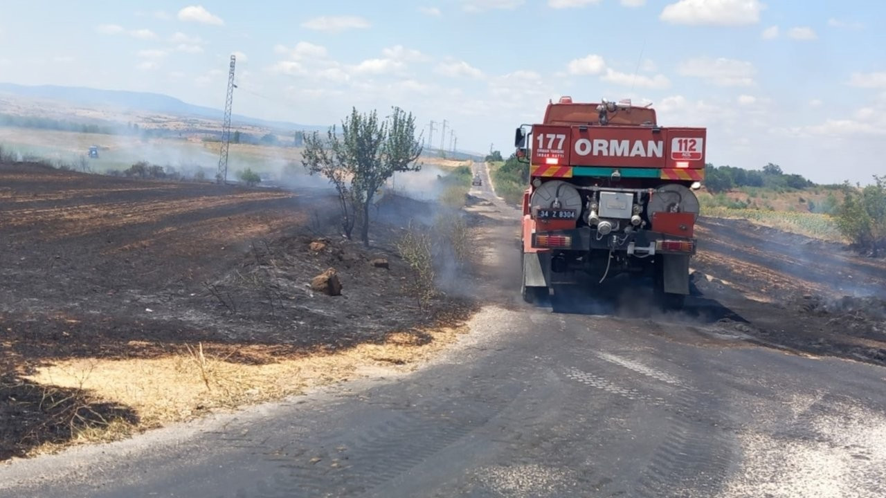 Edirne'deki yangında 2 dönüm orman alanı zarar gördü