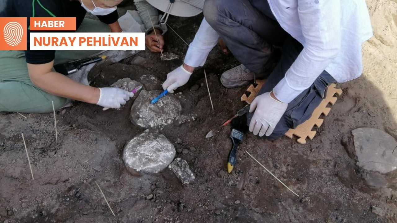 Yabancı arkeoloğa yerli koordinatör: Türkiye bu duruma sokulamaz