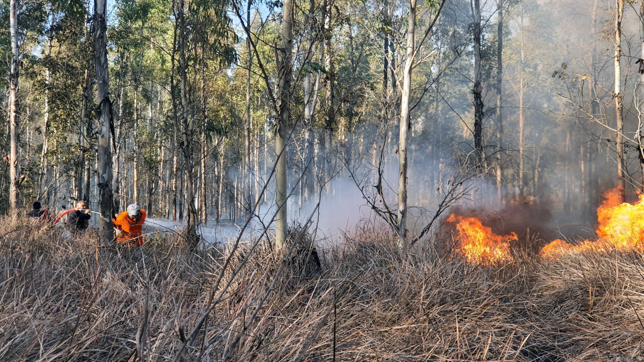 Orman yangınlarına karşı 'ateşsiz piknik' çağrısı