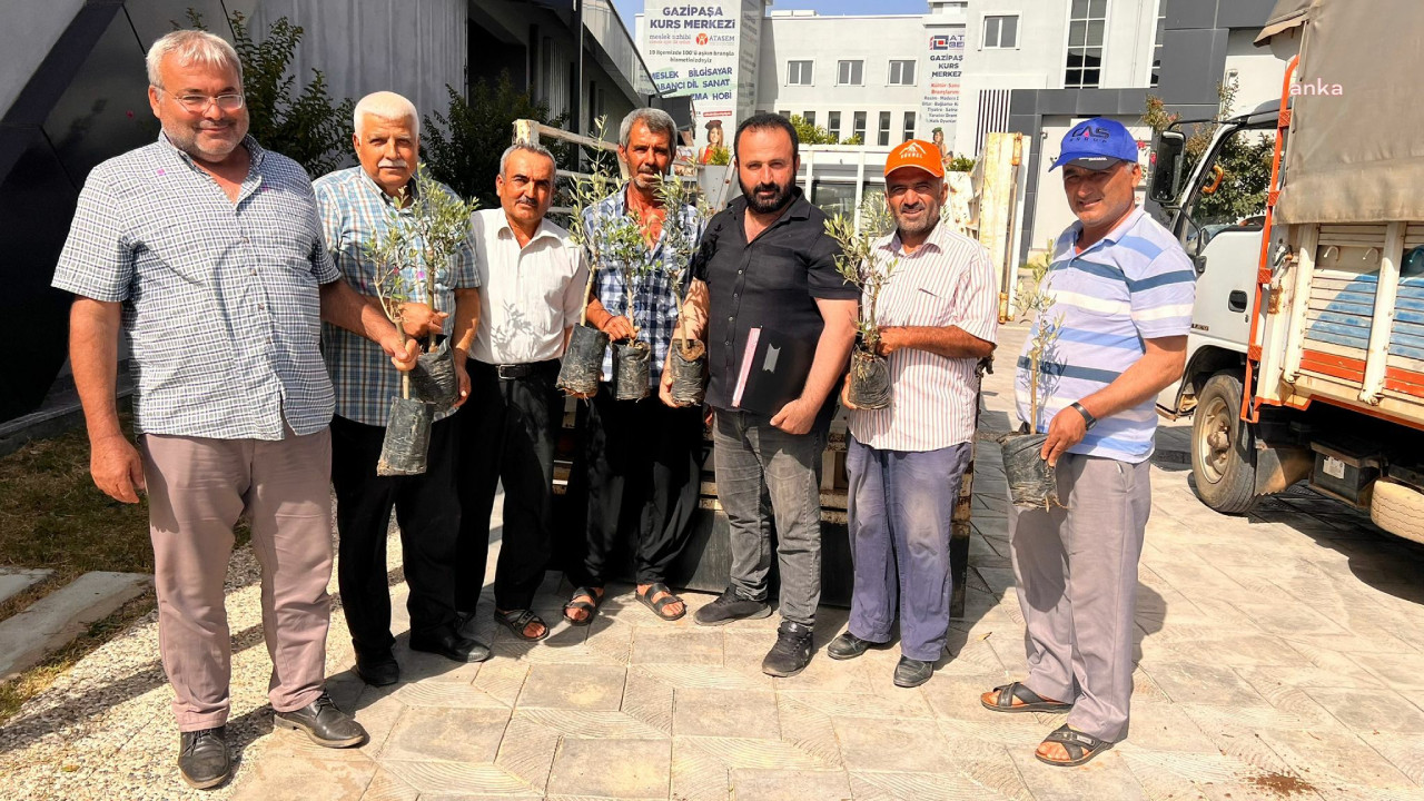 Antalya'da Gazipaşalı çiftçilere zeytin fidanı dağıtıldı