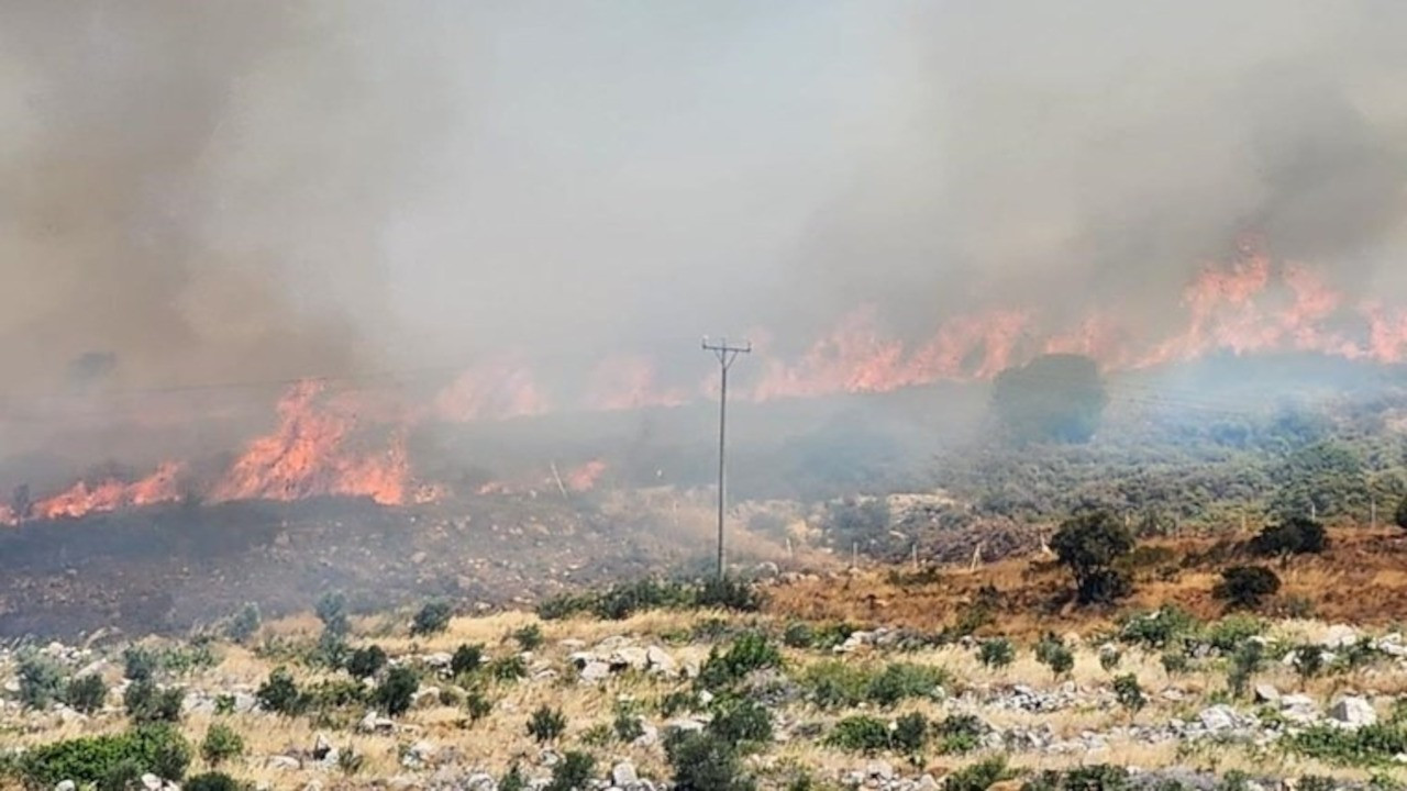 Çeşme'de ormanlık alanda yangın