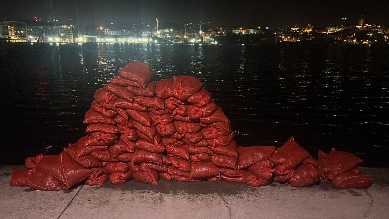 İstanbul'da yaklaşık 2 ton kaçak midye ele geçirildi