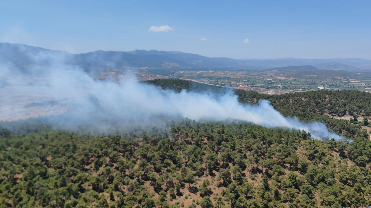 Balıkesir'de orman yangınına müdahale ediliyor