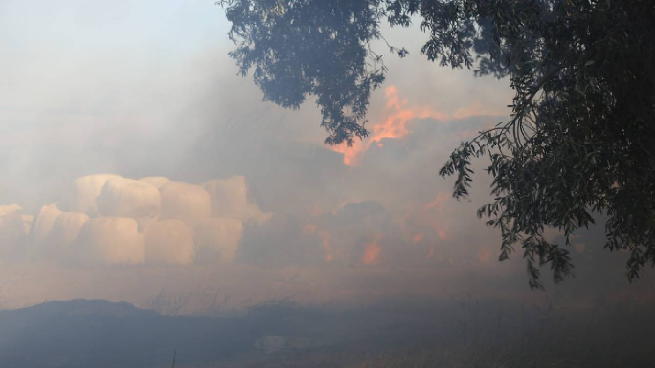 Balıkesir'de ormana sıçrayan yangın söndürüldü