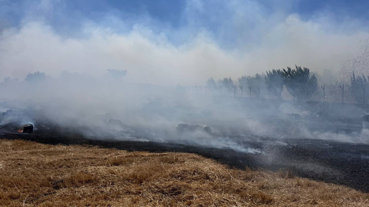 Bursa'da tarım alanlarına sıçrayan yangına müdahale ediliyor
