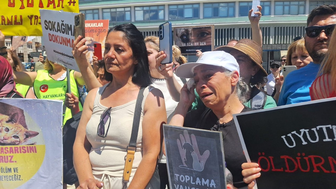 Ankara'da eylem: 'Doğanı öldürme, doğumu engelle'