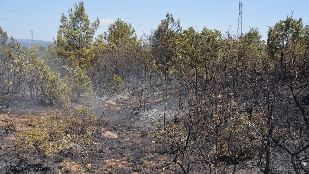Uşak'ta orman yangını: 15 dekar alan zarar gördü