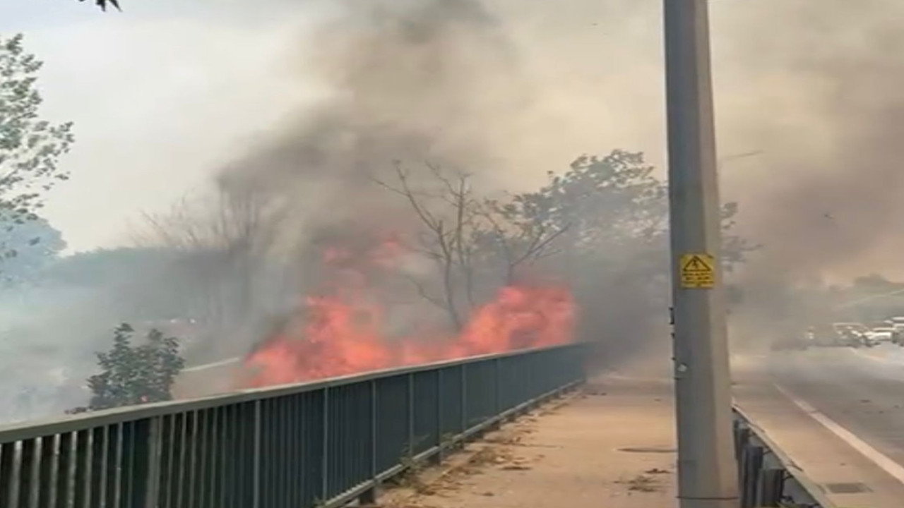 Bursa'da yol kenarındaki ağaçlık alanda yangın