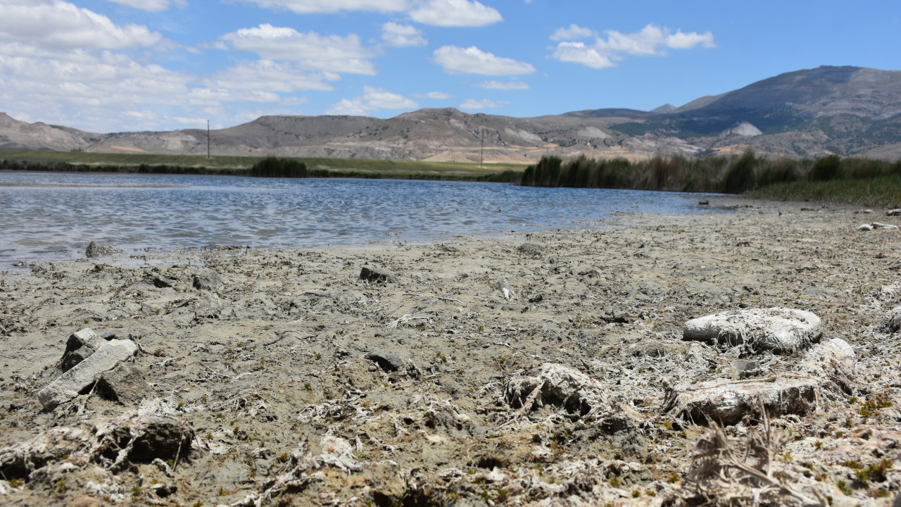 Ulaş Gölü'nde yağış azlığı ve bilinçsiz sulama: 'Habitat yok oluyor'