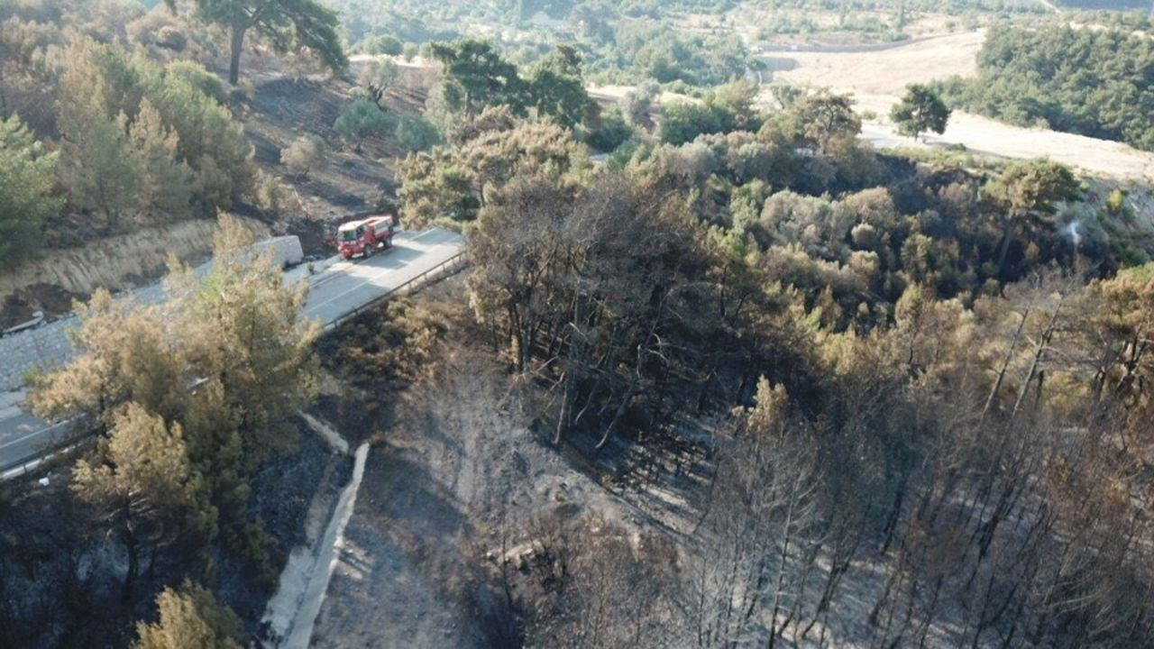 İzmir'deki yangın ikinci gününde: Havadan müdahale sürüyor - Sayfa 4
