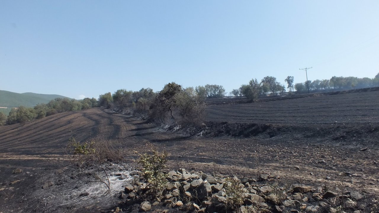 Tokat'taki anız yangınında yaklaşık 300 dekar arazi zarar gördü