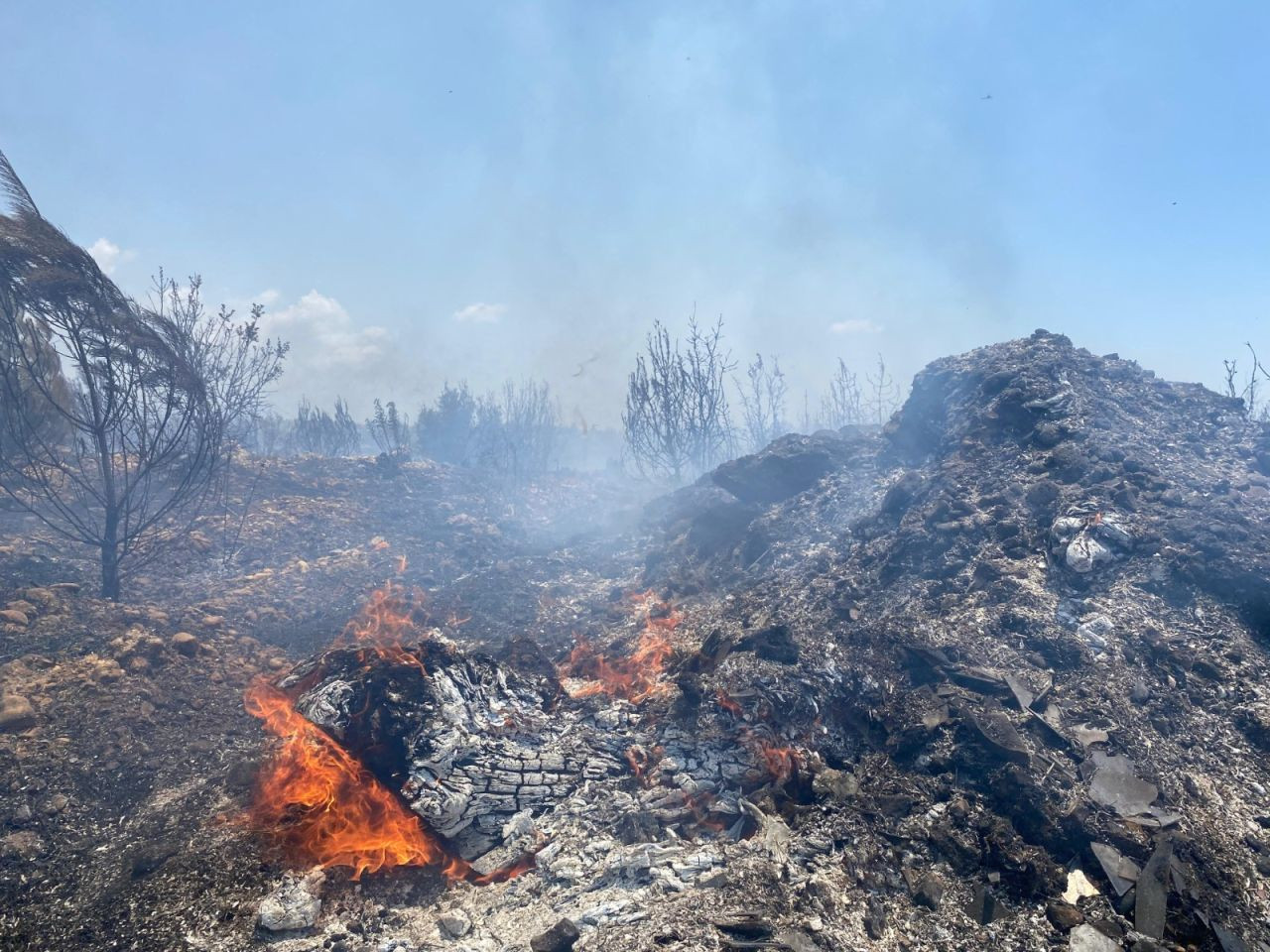 Antalya'da yangın kontrol altına alındı: 12 hektar alan zarar gördü - Sayfa 1