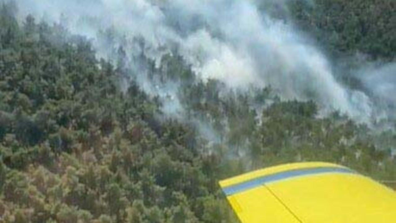 Balıkesir'de iki ilçede orman yangını