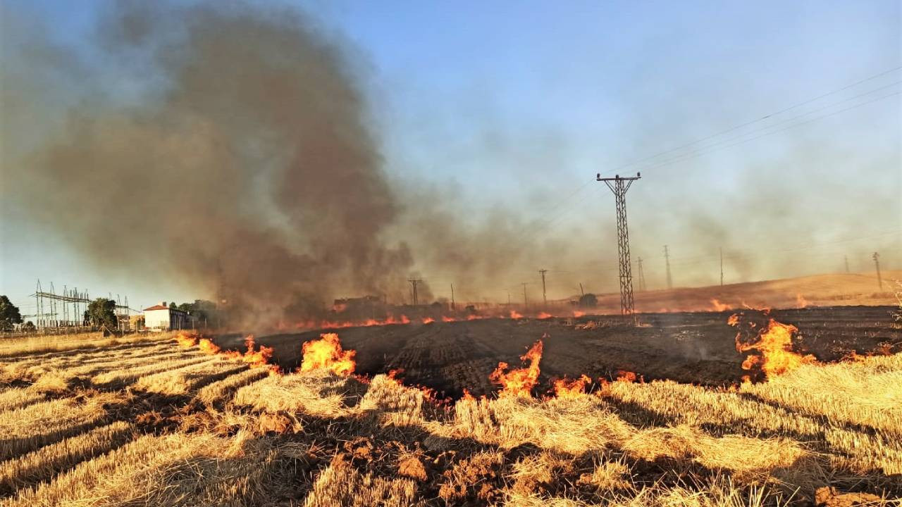 Urfa'da anız yangınları 2 bin 370 aboneyi elektriksiz bıraktı