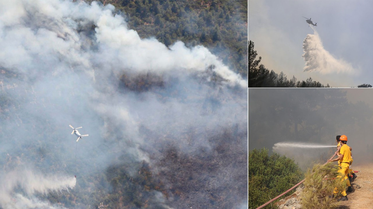 Bodrum'daki orman yangınının ilerlemesi durduruldu