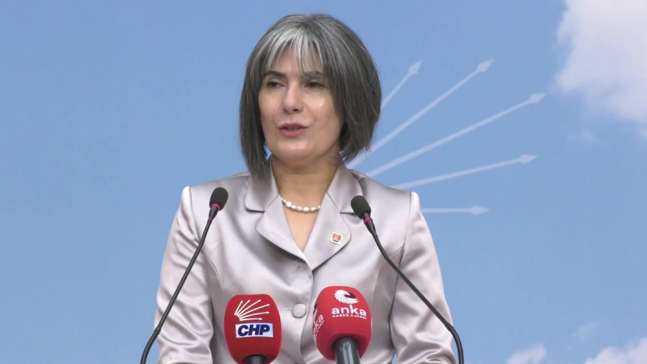 CHP Kadın Kolları Başkanlığı'na yeni aday