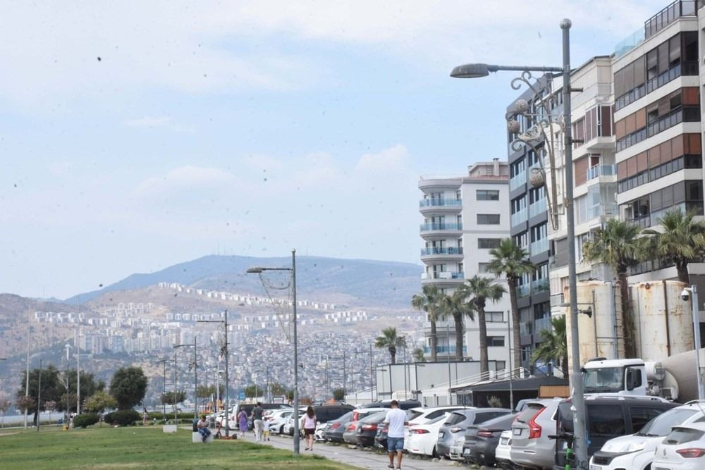İzmir'de beş ilçe için deprem uyarısı: Deniz kentin içine girecek - Sayfa 1