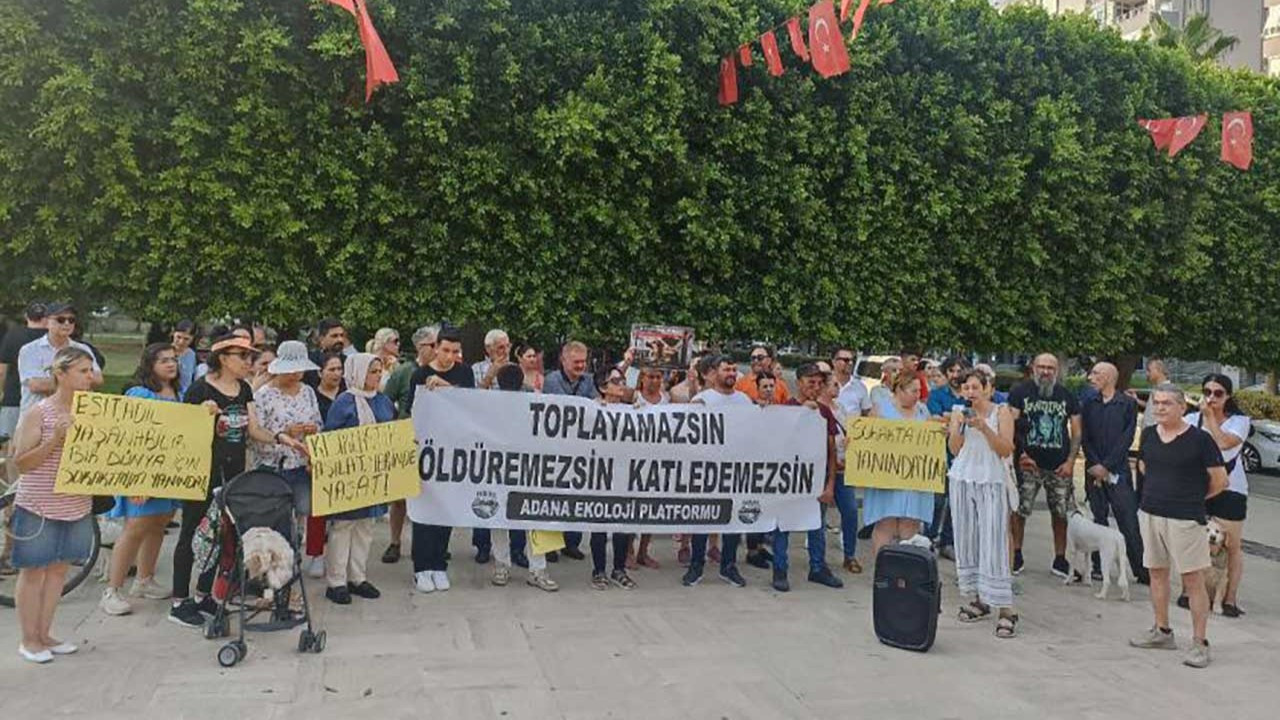 Adana’da sokak hayvanları için nöbet eylemi başlatıldı